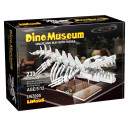 Dino Museum Mosasaurus