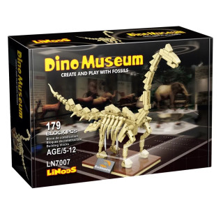 Dino Museum Brachiosaurus