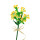 Yellow Warbler Blumen