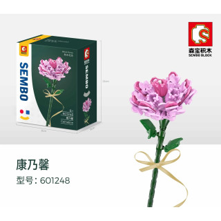 Carnation - Nelke Blume