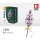 Lilac flowers - Flieder Blume