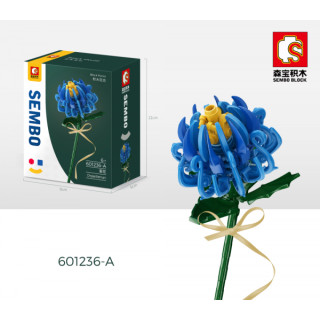 Chryanthemum Blau